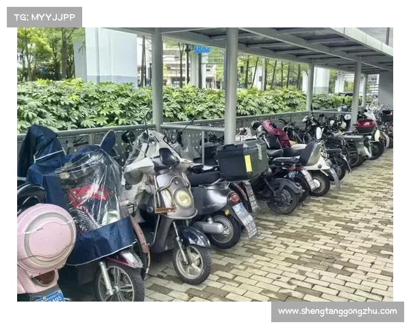 上海益骑电动车有限公司 上海益骑电动车有限公司